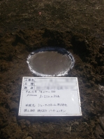 輸入住宅　施工例　湘南ライフタウンの家 (2).JPG