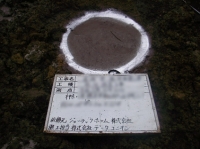 横浜市南区　輸入住宅　施工例 (3).JPG